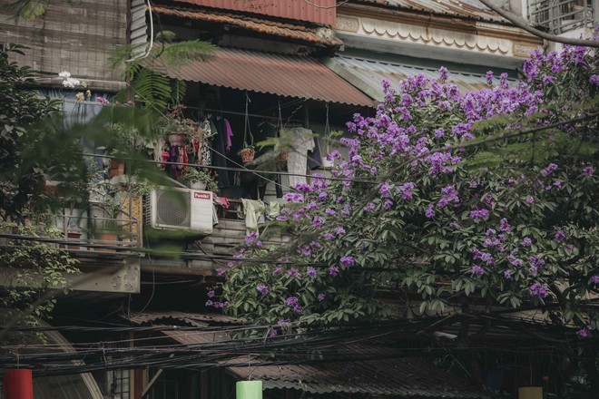 Hà Nội tháng 5, thời tiết đỏng đảnh nhưng vẫn thật rực rỡ khi những mùa hoa gọi hè về - Ảnh 13.