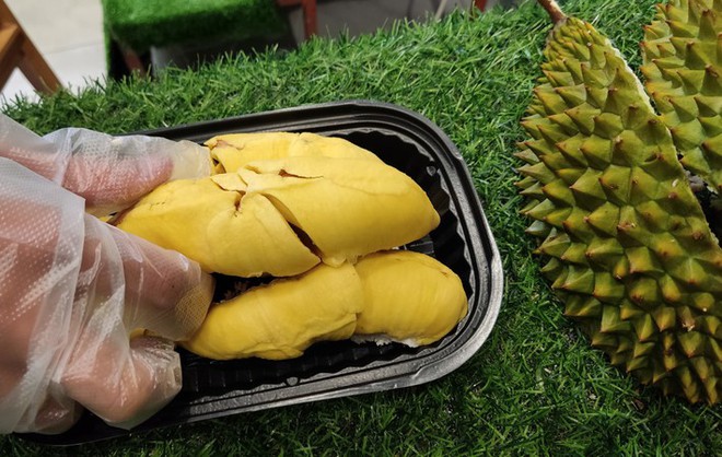 Choáng với giá sầu riêng Musang King trồng tại Việt Nam - Ảnh 2.