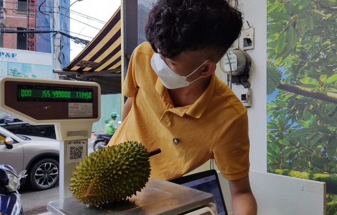 Choáng với giá sầu riêng Musang King trồng tại Việt Nam - Ảnh 4.