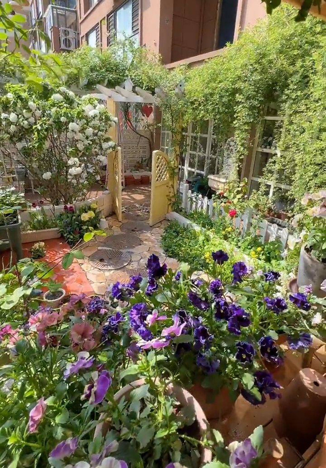 Bức hình cho thấy một khu vườn nhà đẹp và sáng tạo, tràn đầy hoa và cây cối. Tạo cảm giác thư giãn và tươi sáng, hình ảnh này sẽ giúp bạn tìm thấy cảm hứng để thiết kế một khu vườn hoàn hảo cho ngôi nhà của mình.