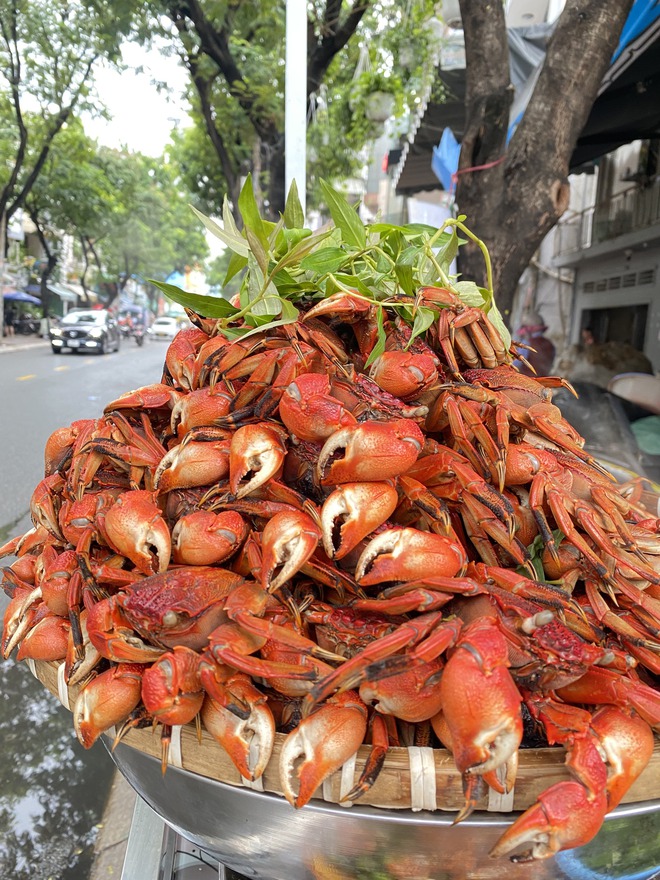 Hàng ba khía Cà Mau tại Sài Gòn tiết lộ mỗi tháng doanh thu trên 300 triệu đồng, tiền lời quá đủ để lo cho gia đình nhưng vẫn chọn bán lề đường vì một nỗi lo - Ảnh 7.