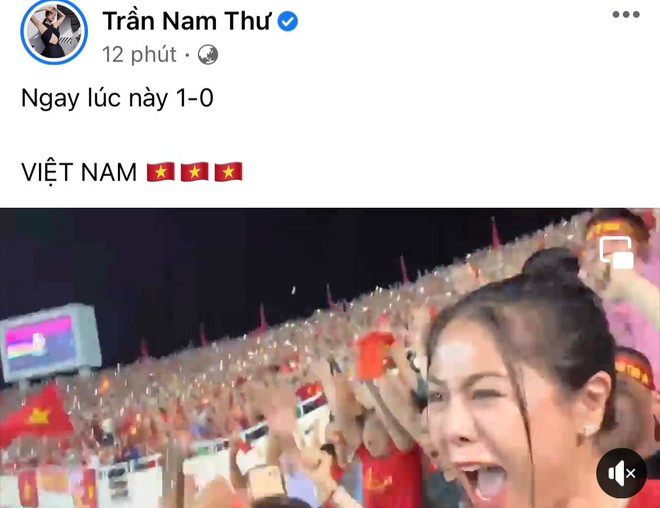 Truong Giang - Nha Phuong and Vbiz stars burst into tears at the victory of the Vietnamese team at SEA Games 31 - Photo 20.