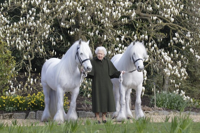 Bí quyết trường thọ của Nữ hoàng Elizabeth II ở tuổi 96: ăn đủ 4 bữa, tránh 1 hành vi để níu giữ làn da không tuổi - Ảnh 6.