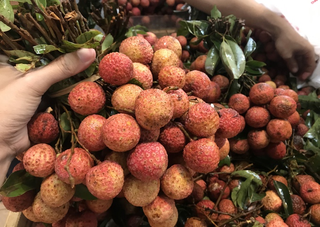 5 loại tr&aacute;i c&acirc;y c&oacute; h&agrave;m lượng calo v&ocirc; c&ugrave;ng cao, thỉnh thoảng ăn th&igrave; kh&ocirc;ng sao chứ ăn thường xuy&ecirc;n l&agrave; kh&oacute; kiểm so&aacute;t c&acirc;n nặng - Ảnh 2.