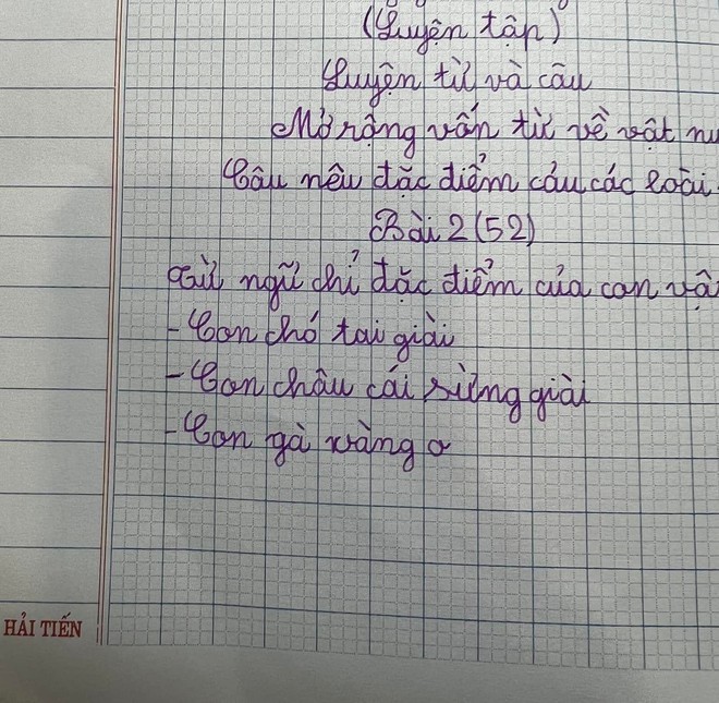 Từ Chỉ Đặc Điểm Con Vật - Bí Quyết Hiểu Chân Tướng Các Loài Động Vật