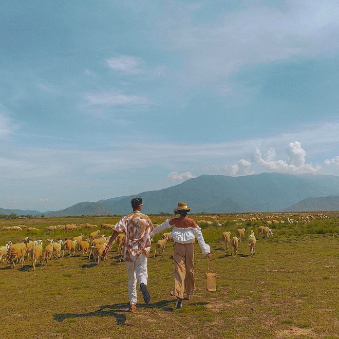 Du lịch Ninh Thuận: Mùa hè này, hãy đến thăm thú một vùng quê nhỏ còn hoang sơ nhưng ngàn cảnh đẹp đầy bình yên - Ảnh 12.