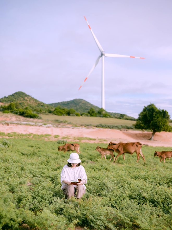 Du lịch Ninh Thuận: Mùa hè này, hãy đến thăm thú một vùng quê nhỏ còn hoang sơ nhưng ngàn cảnh đẹp đầy bình yên - Ảnh 14.