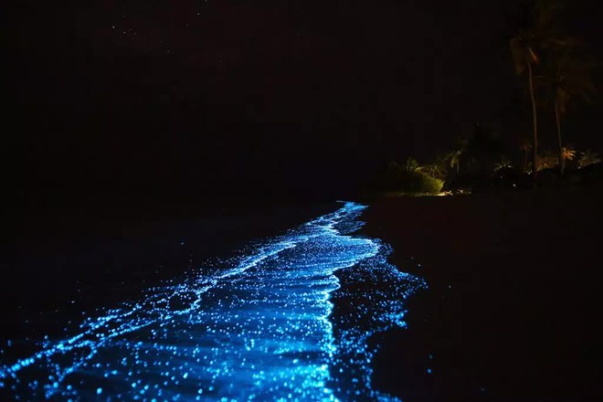 Giữa thiên đường Maldives tồn tại một bãi biển huyền ảo đến vô thực, được ví như dải Ngân hà - Ảnh 3.