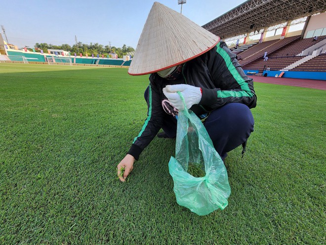 BTC SEA Games cho nhặt từng ngọn cỏ úa, chăm chút tỉ mỉ sân Việt Trì trước ngày mở màn - Ảnh 2.