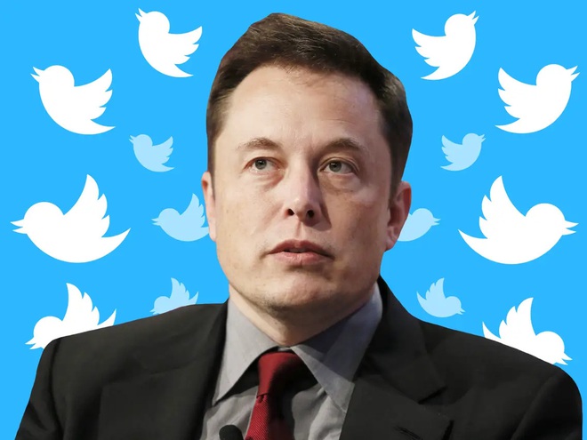 Elon Musk có thể làm CEO tạm thời của Twitter - Ảnh 1.