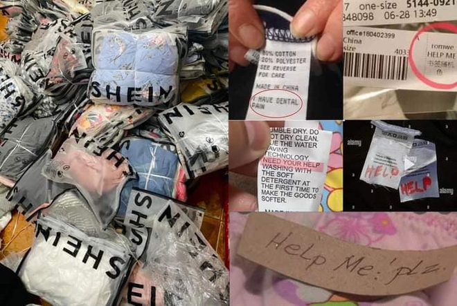 Xuất hiện tin nhắn k&ecirc;u cứu b&iacute; ẩn tr&ecirc;n tem m&aacute;c quần &aacute;o của thương hiệu Shein: D&acirc;n t&igrave;nh b&agrave;n t&aacute;n, nh&atilde;n h&agrave;ng phản hồi ra sao? - Ảnh 2.