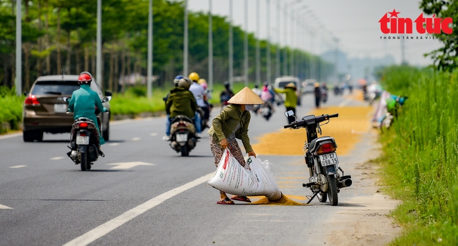 Người dân quây màn ngủ dưới lòng đường để canh lúa, bất chấp nguy cơ tai nạn giao thông - Ảnh 7.