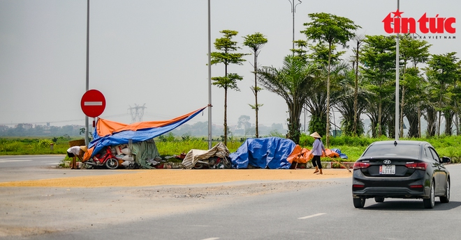 Người dân quây màn ngủ dưới lòng đường để canh lúa, bất chấp nguy cơ tai nạn giao thông - Ảnh 10.