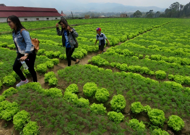 H&agrave;ng trăm l&agrave;ng du lịch tạo điểm tựa mới cho Indonesia - Ảnh 1.