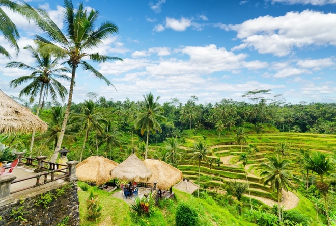 H&agrave;ng trăm l&agrave;ng du lịch tạo điểm tựa mới cho Indonesia - Ảnh 3.