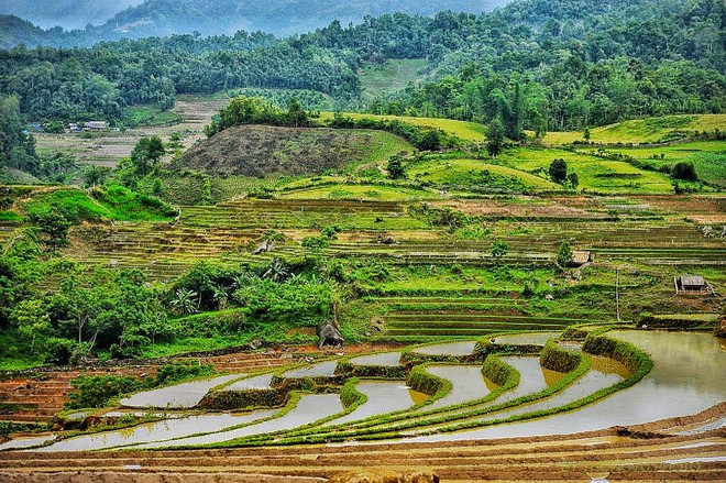 Mãn nhãn với cảnh sắc lấp lánh Tây Bắc mùa nước đổ, địa điểm lí tưởng để du  lịch “giải nhiệt” mùa hè