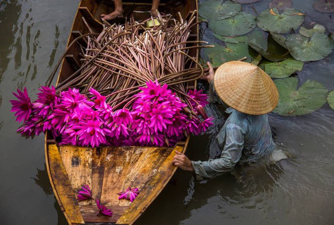 Vùng đất màu nhiệm: Báo nước ngoài nêu 10 lý do nên tới Việt Nam du lịch ngay và luôn - Ảnh 6.