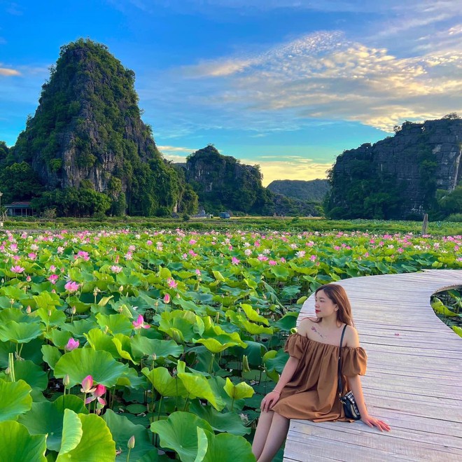 Nếu đến 3 nơi này nhất định không nên bỏ qua việc ghé thăm các hồ sen được cho là đẹp nhất cả nước! - Ảnh 2.