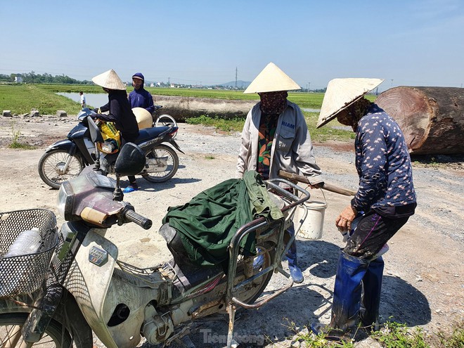 Bắt cua đồng mùa nắng nóng kiếm tiền triệu mỗi ngày - Ảnh 10.