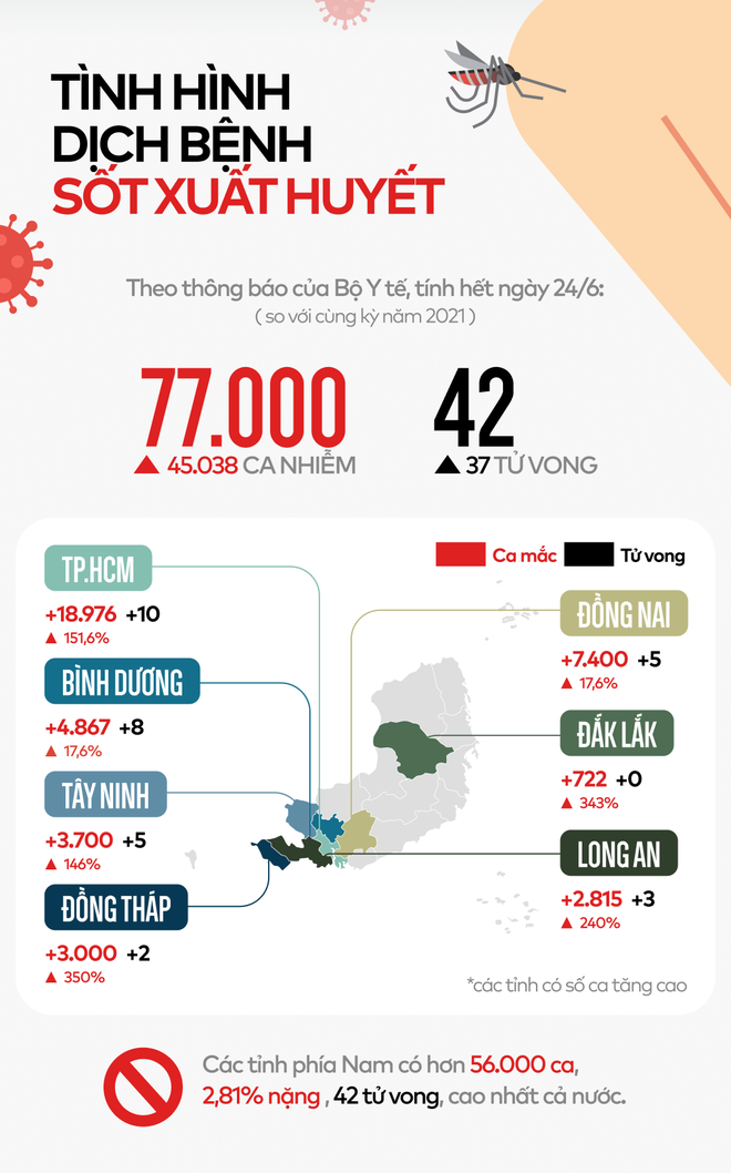 Toàn cảnh tình hình dịch sốt xuất huyết bùng phát ở các tỉnh phía Nam - Ảnh 1.