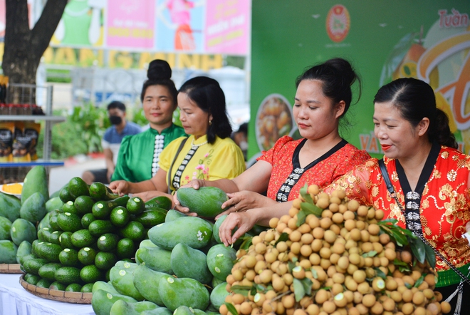 Sơn La xúc tiến nhãn, xoài... lên suất ăn trên máy bay, quảng bá nông sản ra các nước trên thế giới - Ảnh 1.