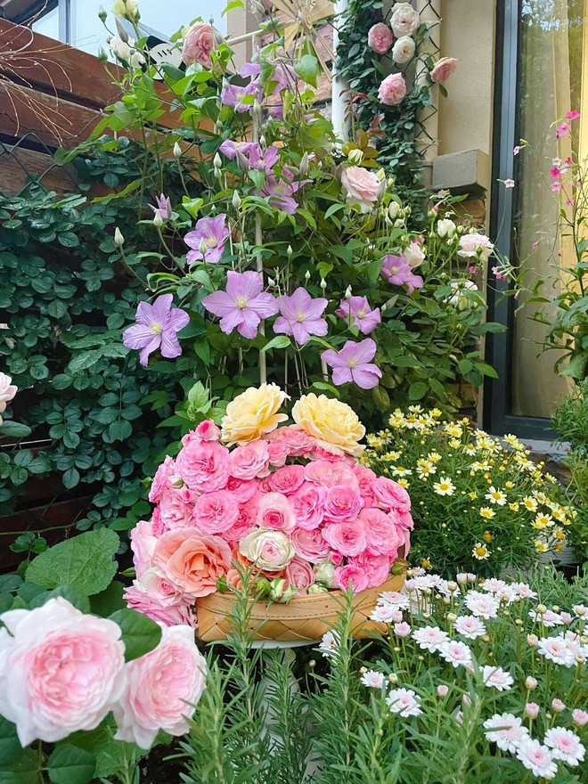 Cô gái 9x mừng tuổi 31 với căn nhà mới có cả sân vườn và sau 300 ngày, khu vườn đã nở rộ đầy hoa - Ảnh 9.