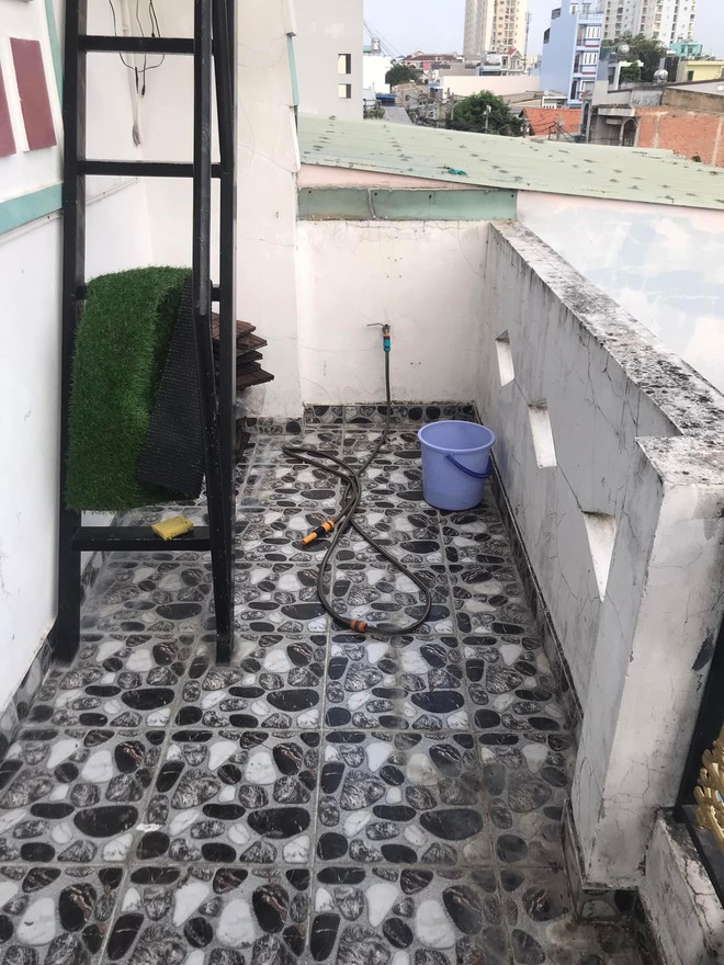 Cặp vợ chồng cải tạo ban c&ocirc;ng nhỏ th&agrave;nh nơi ngập c&acirc;y xanh v&agrave; gi&oacute; m&aacute;t chỉ với 5 triệu đồng - Ảnh 1.