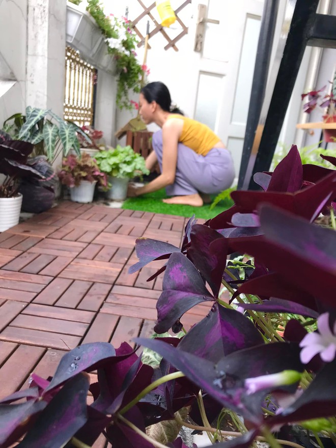 Cặp vợ chồng cải tạo ban c&ocirc;ng nhỏ th&agrave;nh nơi ngập c&acirc;y xanh v&agrave; gi&oacute; m&aacute;t chỉ với 5 triệu đồng - Ảnh 8.