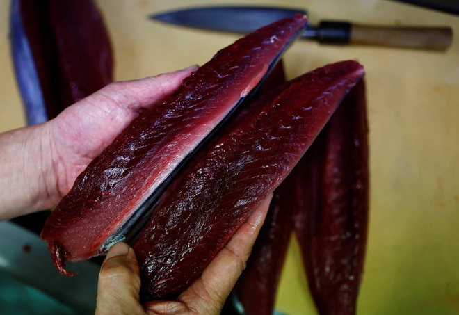 Bí mật về phương pháp câu truyền thống giúp người Nhật giữ tuyệt đối vị ngon của cá ngừ - Ảnh 5.