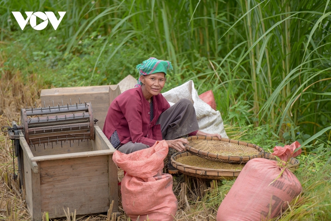 Mùa vàng đẹp nao lòng nơi biên cương Cao Bằng - Ảnh 10.