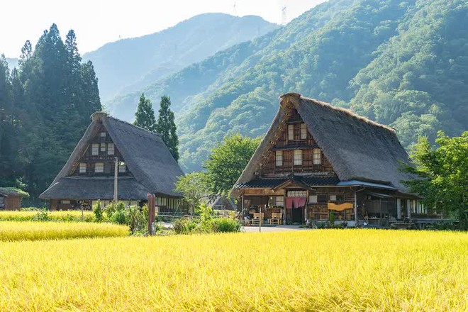 Du lịch kiểu mới m&agrave; cũ ở Nhật: Đi trốn trong những ng&ocirc;i nh&agrave; cổ gần gũi thi&ecirc;n nhi&ecirc;n, n&aacute;u m&igrave;nh khỏi đ&ocirc; thị x&ocirc; bồ - Ảnh 2.