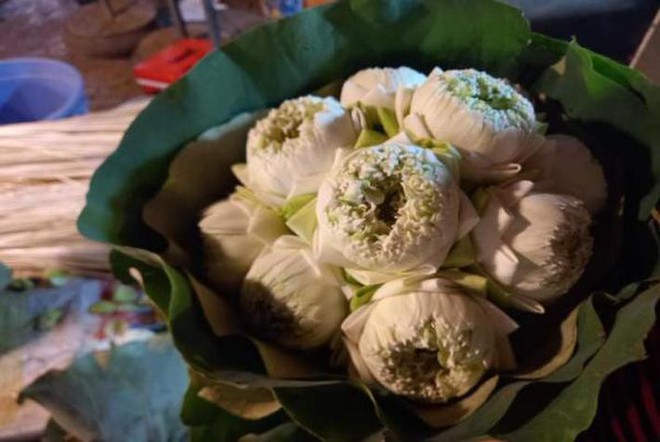 Hoa sen cuối m&ugrave;a, chị em H&agrave; th&agrave;nh tranh thủ mua về cắm chơi - Ảnh 1.