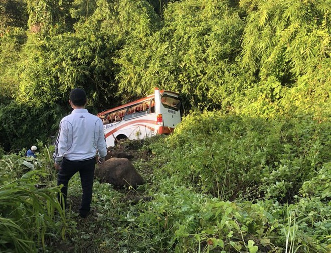 Xe khách biển số Tiền Giang lao xuống vực trên đèo Đại Ninh - Ảnh 1.