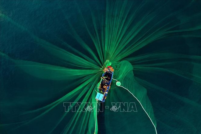 Ngắm những khoảnh khắc đẹp nghề lưới v&acirc;y c&aacute; cơm ở Ph&uacute; Y&ecirc;n - Ảnh 5.