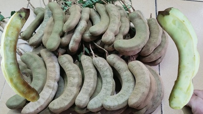 C&acirc;u đố Tiếng Việt: Tr&aacute;i g&igrave; sinh ra đ&atilde; kh&ocirc;ng được th&ocirc;ng minh? - Ảnh 2.