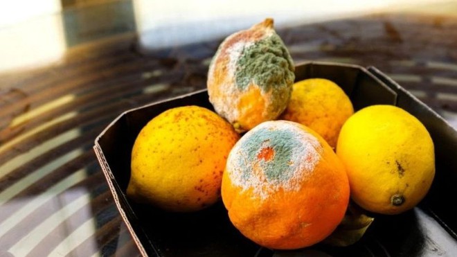 3 loại thực phẩm chứa đầy độc tố aflatoxin, d&ugrave; tiếc rẻ đến mấy cũng chớ ăn nếu kh&ocirc;ng muốn bệnh ung thư t&igrave;m đến - Ảnh 2.