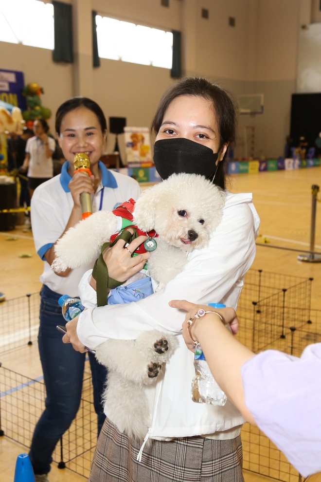 Lần đầu đi xem cuộc đua chó Corgi: “Tuyển thủ” tên Mèo vượt đối thủ giành chức vô địch, vài chú cún phải bỏ cuộc giữa chừng - Ảnh 8.