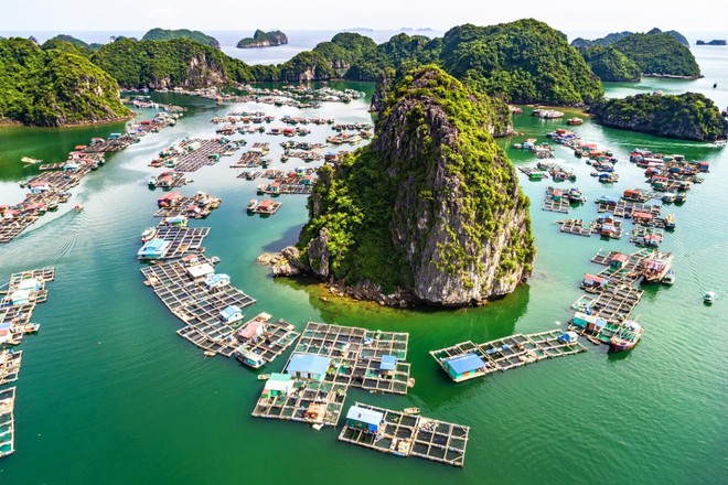 Trang du lịch Thrillist đánh giá Vịnh Lan Hạ là điểm đến đẹp nhất Việt Nam - Ảnh 1.