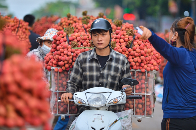 Ảnh: Người dân Bắc Giang "cõng" hàng tạ vải thiều đi bán từ 5h sáng khiến đường phố đỏ rực, tắc dài - Ảnh 4.