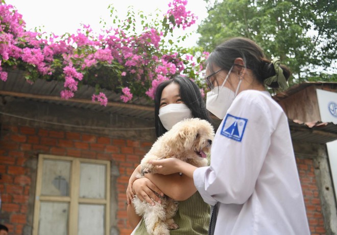 undefined - Ảnh 3.