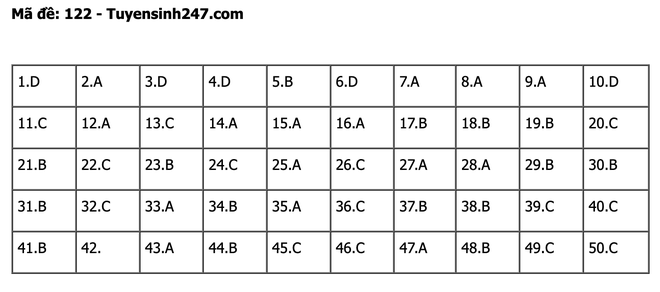 undefined - Ảnh 1.