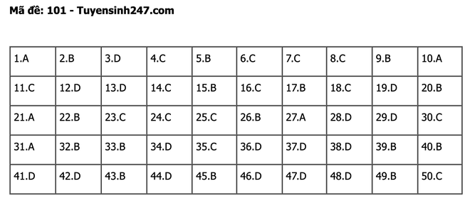 undefined - Ảnh 1.