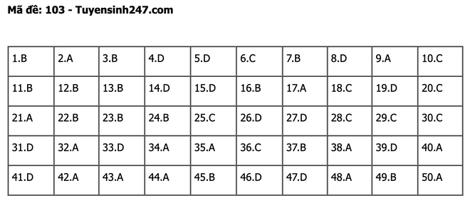 undefined - Ảnh 1.