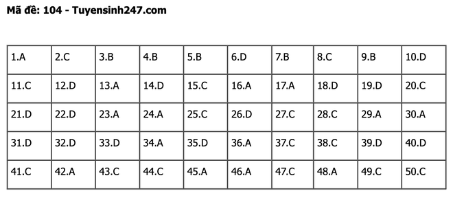 undefined - Ảnh 1.