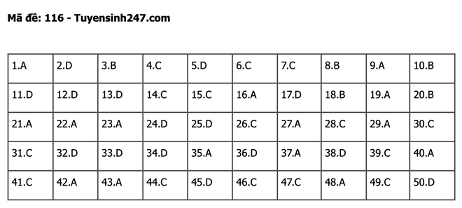 undefined - Ảnh 1.