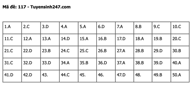 undefined - Ảnh 1.