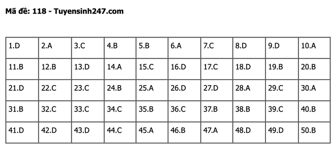 undefined - Ảnh 1.