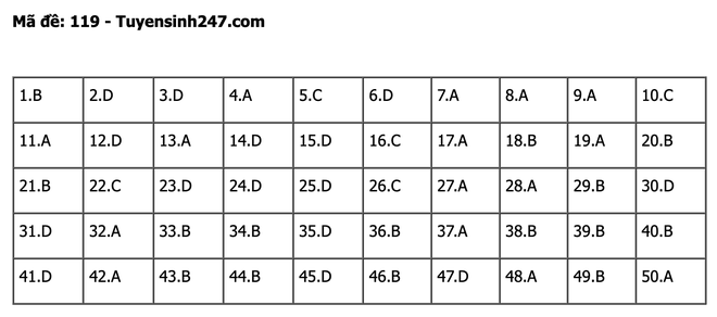 undefined - Ảnh 1.