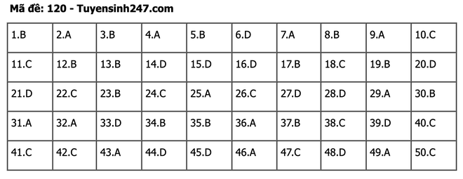 undefined - Ảnh 1.