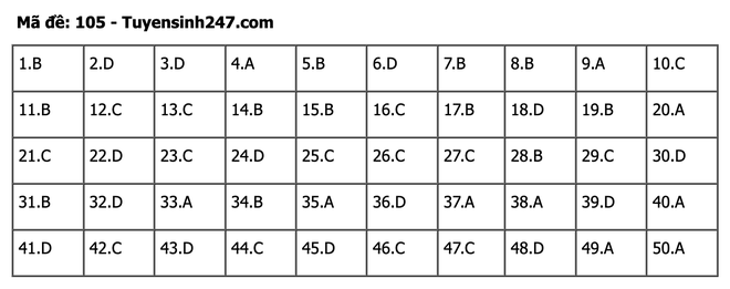 undefined - Ảnh 1.